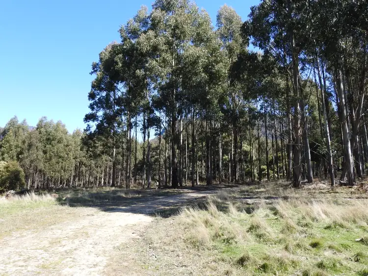 Fourth view of Homely rural property listing, Tubbs Road, Blackwood Creek TAS 7301