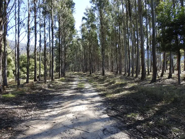 Fifth view of Homely rural property listing, Tubbs Road, Blackwood Creek TAS 7301