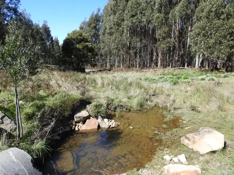Sixth view of Homely rural property listing, Tubbs Road, Blackwood Creek TAS 7301