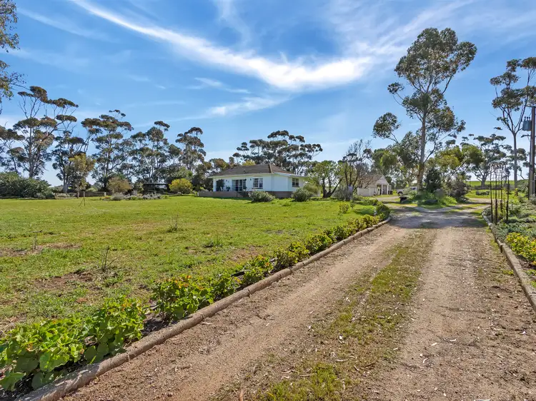 Main view of Homely rural property listing, 312 Belvedere Road, Mannum SA 5238