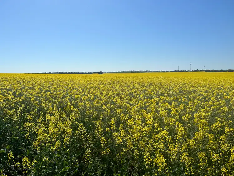 Staehrs Road