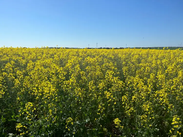 Fifth view of Homely rural property listing, Staehrs Road, Nhill VIC 3418
