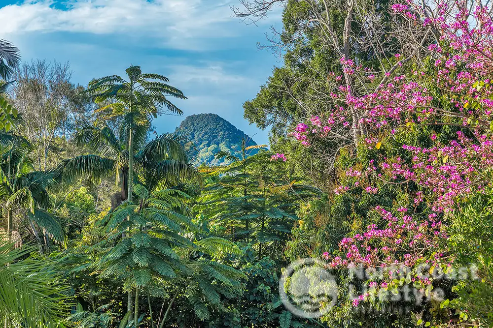 Main view of Homely land listing, 20 Azalea Street, Mullumbimby NSW 2482