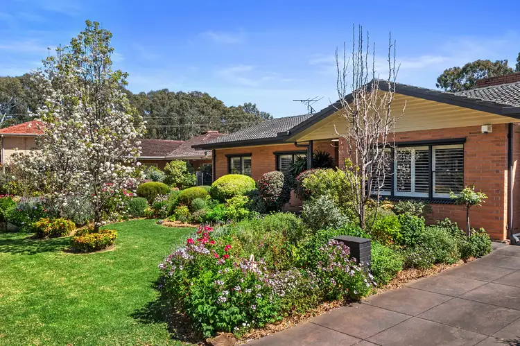 12 Mahogany Avenue, Dernancourt SA 5075