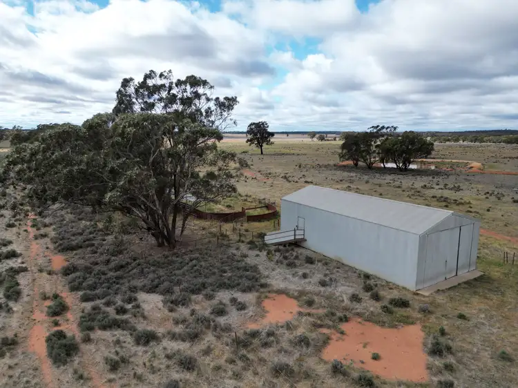 871 Mid Western Highway, West Wyalong NSW 2671