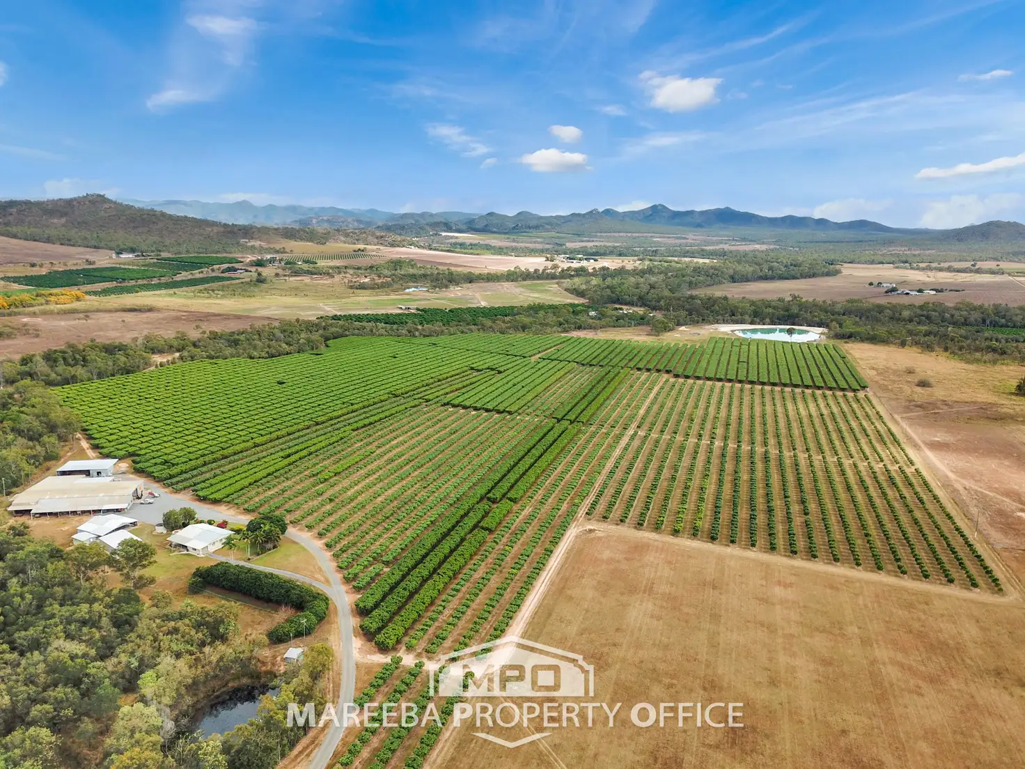 Main view of Homely rural property listing, 65793 Burke Developmental Road, Dimbulah QLD 4872