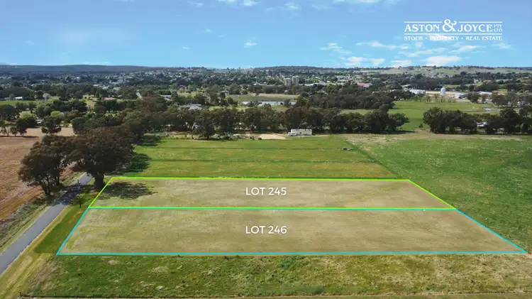 Lot 245 & 246 Manganese Road, Grenfell NSW 2810