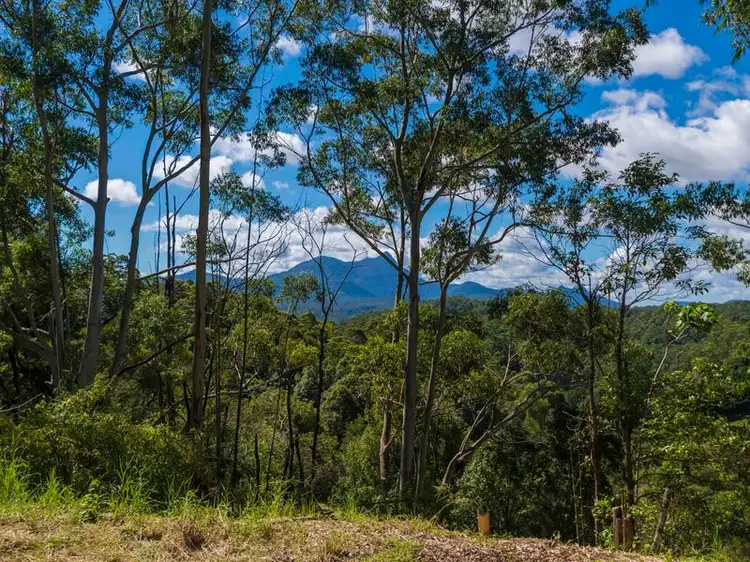 Fifth view of Homely land listing, 321 Mount Burrell Road, Mount Burrell NSW 2484