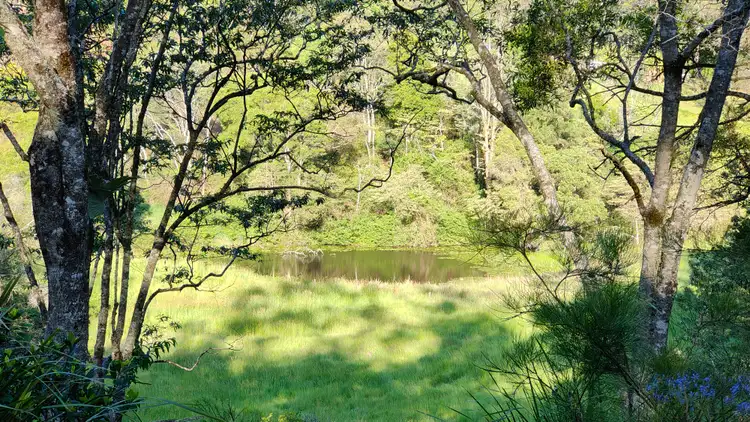 Fifth view of Homely rural property listing, 3/929 Blue Knob Road, Blue Knob NSW 2480