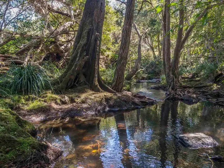 Sixth view of Homely rural property listing, 112 Homeleigh Road, Homeleigh via, Kyogle NSW 2474