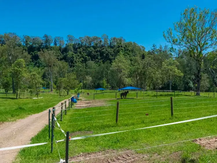 Fifth view of Homely rural property listing, 5176 Kyogle Road, Cawongla NSW 2474