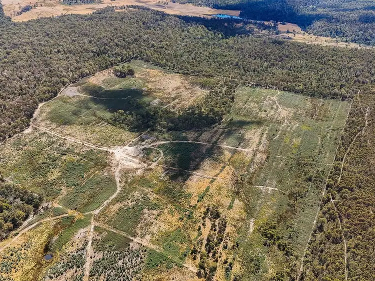 Third view of Homely rural property listing, 160 Sand Marsh Road, Woodsdale TAS 7120