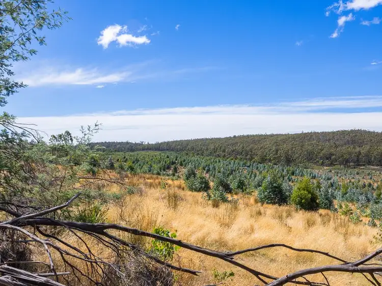 Sixth view of Homely rural property listing, 160 Sand Marsh Road, Woodsdale TAS 7120