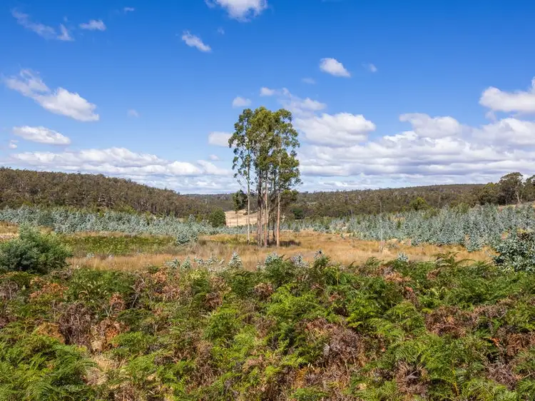 Seventh view of Homely rural property listing, 160 Sand Marsh Road, Woodsdale TAS 7120
