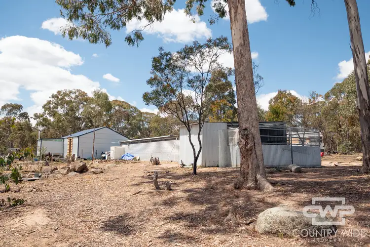Seventh view of Homely rural property listing, 29 Catarrh Creek Road, Torrington NSW 2371