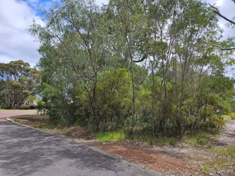 Fourth view of Homely land listing, 5 Bottlebrush Drive, Walpole WA 6398