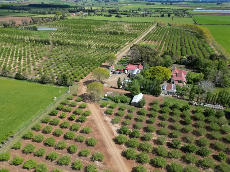 Main view of Homely rural property listing, 127 Hagley Station Lane, Hagley TAS 7292
