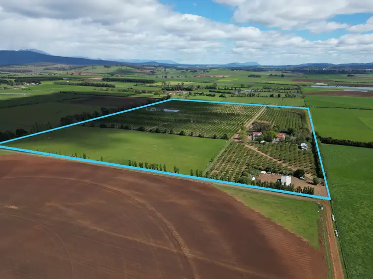 Fourth view of Homely rural property listing, 127 Hagley Station Lane, Hagley TAS 7292