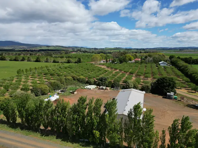 Fifth view of Homely rural property listing, 127 Hagley Station Lane, Hagley TAS 7292