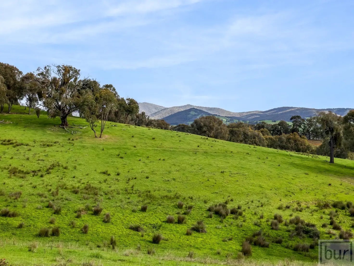 Main view of Homely rural property listing, 167 Oneill Lane, Sandy Creek VIC 3695
