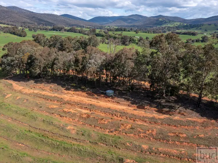 Fourth view of Homely rural property listing, 167 Oneill Lane, Sandy Creek VIC 3695