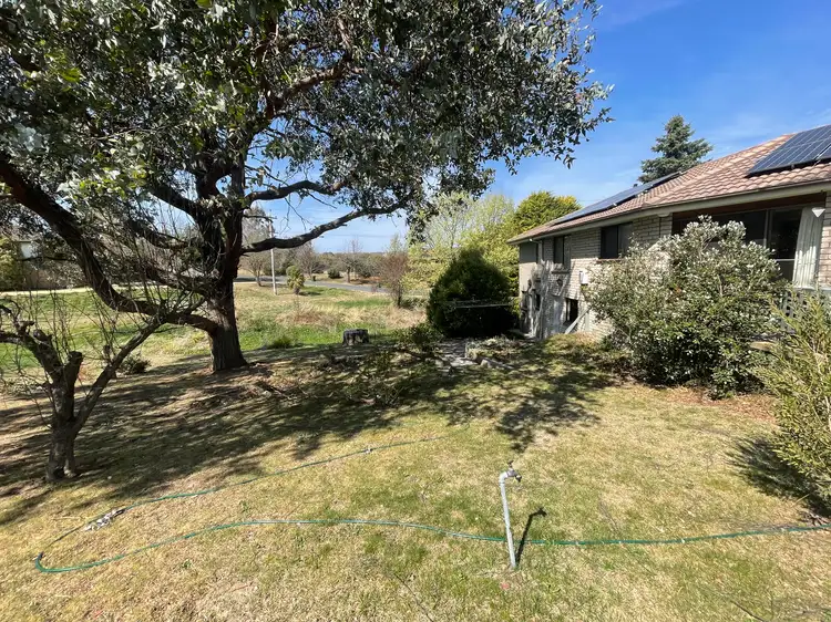 Fifth view of Homely house listing, 55 Queen Street, Bombala NSW 2632