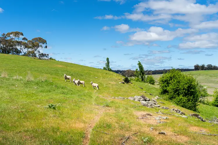 Seventh view of Homely rural property listing, Boundary Gully Road, Werona VIC 3364