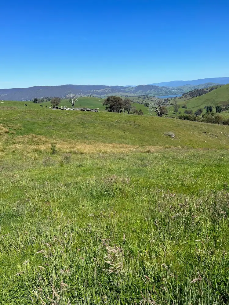 Second view of Homely rural property listing, CA 6 of 858 Sirls Road, Jarvis Creek VIC 3700