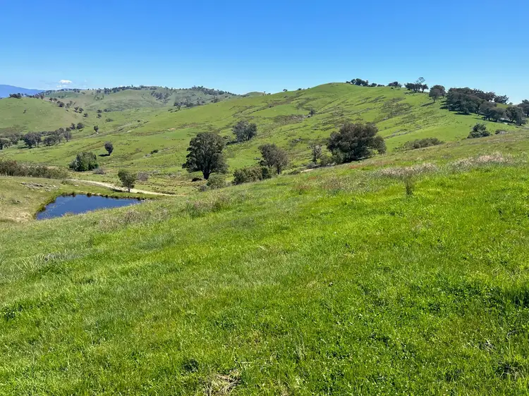 Sixth view of Homely rural property listing, CA 6 of 858 Sirls Road, Jarvis Creek VIC 3700