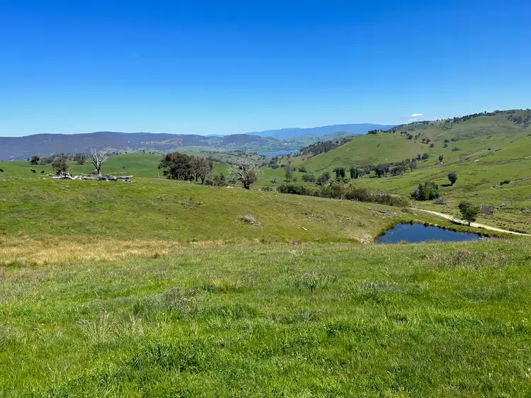 Seventh view of Homely rural property listing, CA 6 of 858 Sirls Road, Jarvis Creek VIC 3700