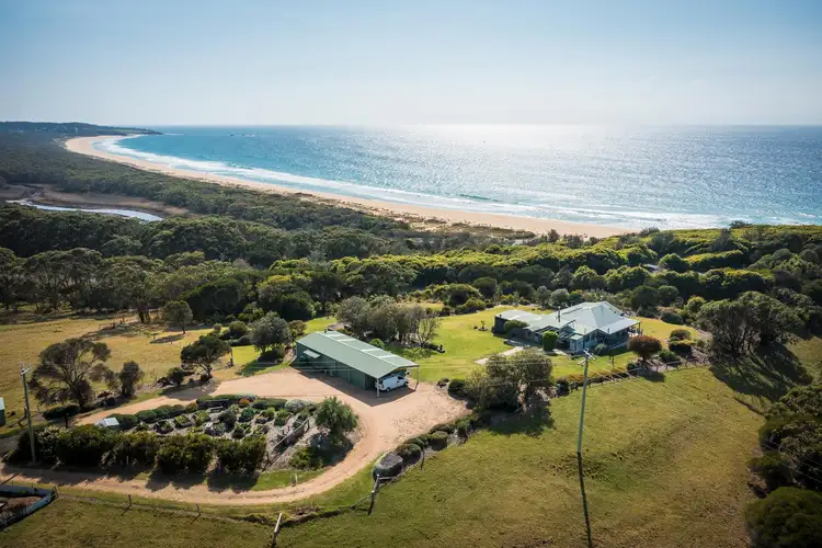 Third view of Homely rural property listing, 39 Geall Road, Cuttagee NSW 2546