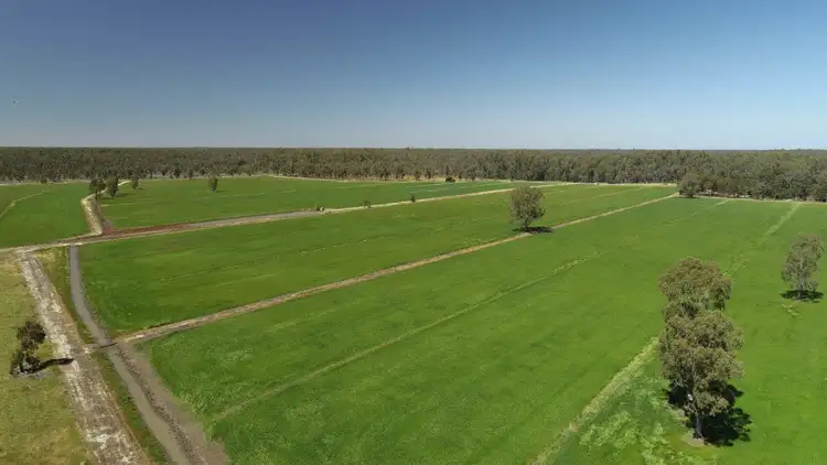 Seventh view of Homely rural property listing, 1118 EAST BARHAM ROAD, Barham NSW 2732