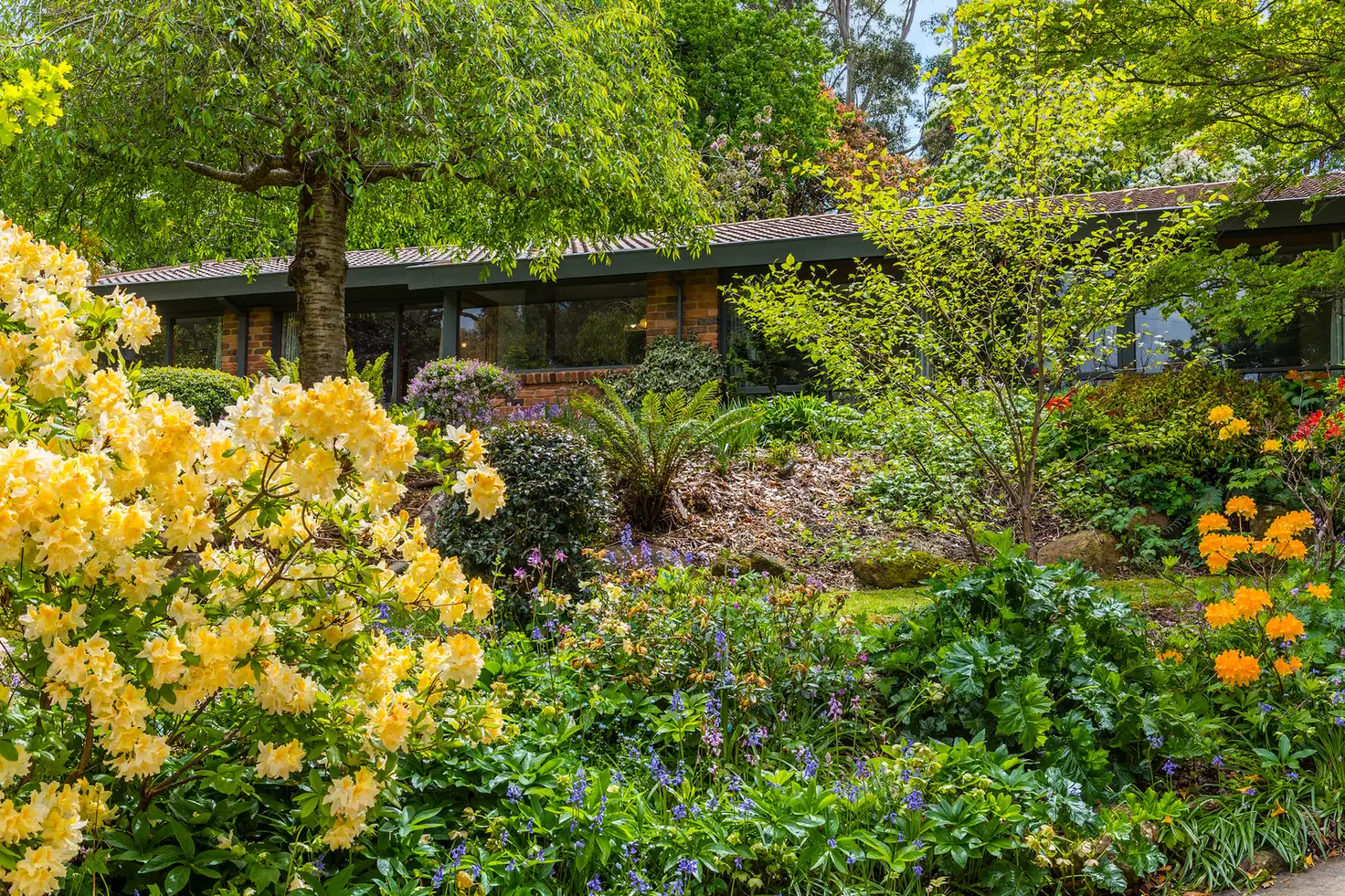 Main view of Homely house listing, 10 Cheniston Road, Mount Macedon VIC 3441