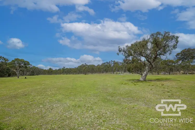 Second view of Homely rural property listing, 46 Catarrh Creek Road, Torrington NSW 2371