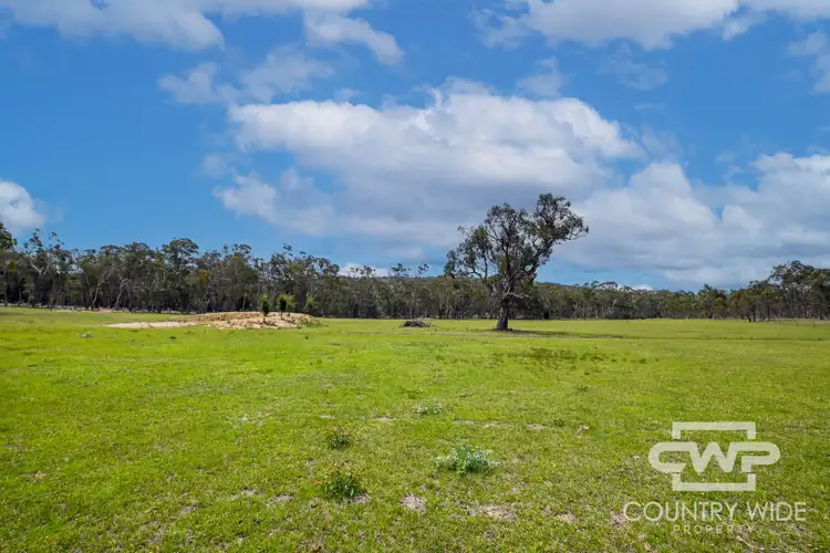Third view of Homely rural property listing, 46 Catarrh Creek Road, Torrington NSW 2371