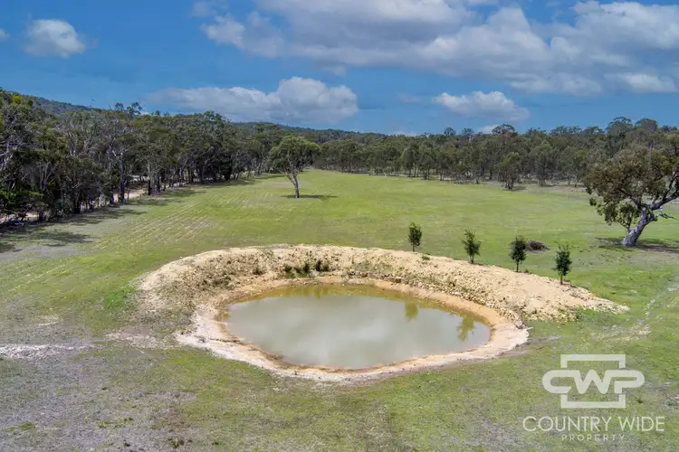 Fourth view of Homely rural property listing, 46 Catarrh Creek Road, Torrington NSW 2371