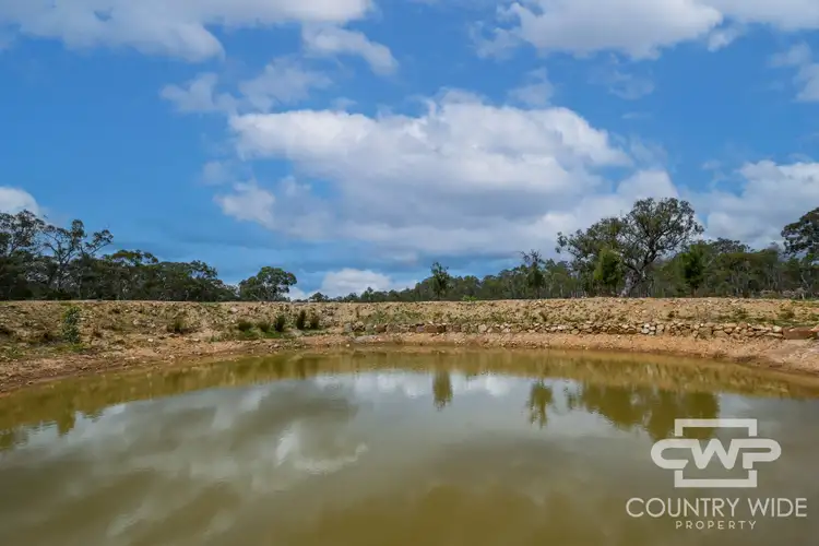 Fifth view of Homely rural property listing, 46 Catarrh Creek Road, Torrington NSW 2371