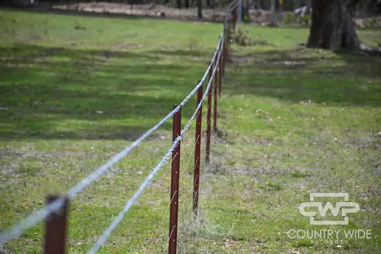 Sixth view of Homely rural property listing, 46 Catarrh Creek Road, Torrington NSW 2371