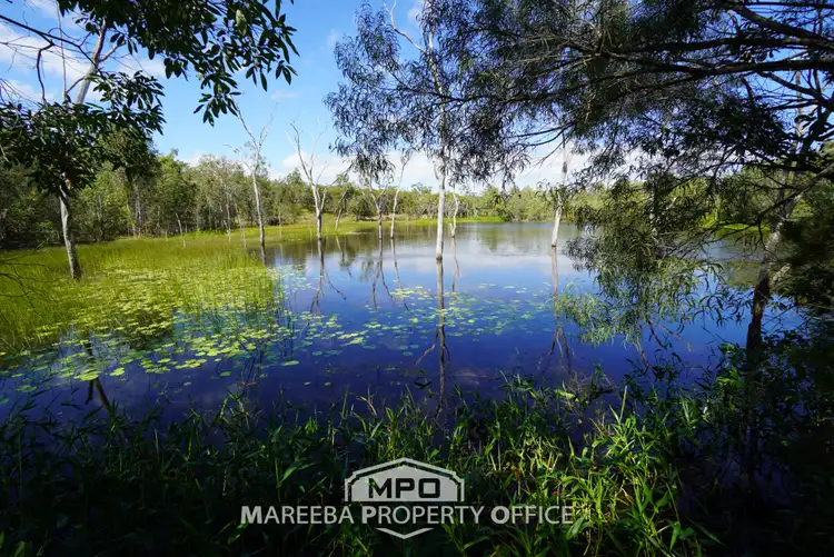 Second view of Homely rural property listing, 648 Bilwon Road, Biboohra QLD 4880