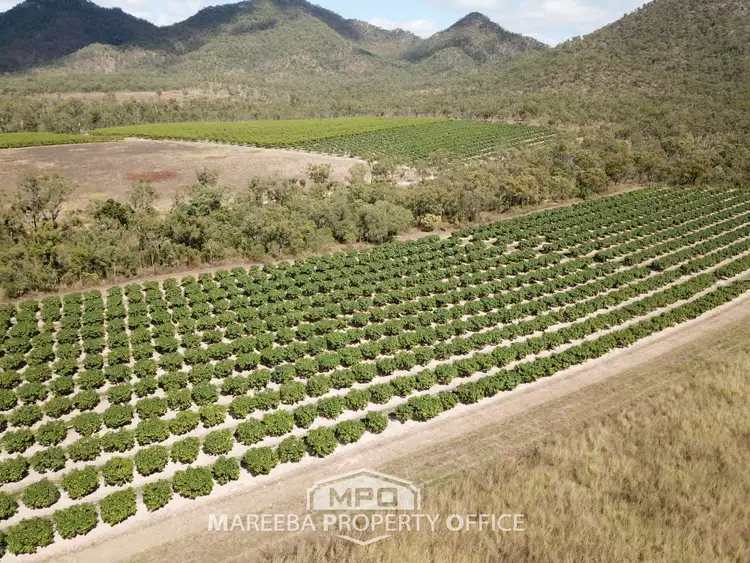 Second view of Homely rural property listing, 350 Top Eureka Road, Dimbulah QLD 4872