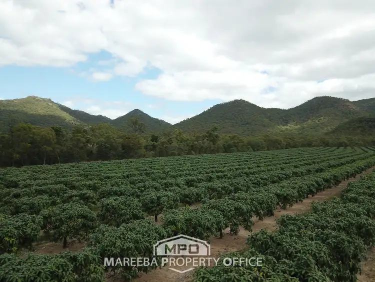 Third view of Homely rural property listing, 350 Top Eureka Road, Dimbulah QLD 4872