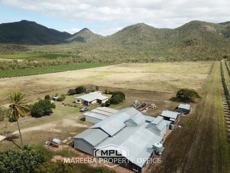 Seventh view of Homely rural property listing, 350 Top Eureka Road, Dimbulah QLD 4872