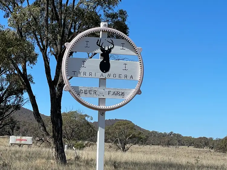 466 Rothlyn Road, Chakola NSW 2630