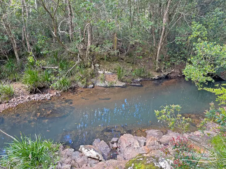Main view of Homely rural property listing, 719 Beech Road, Elands NSW 2429