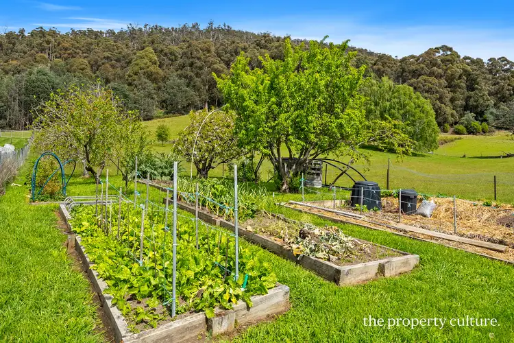 Sixth view of Homely house listing, 221 Bakers Creek Road, Lucaston TAS 7109