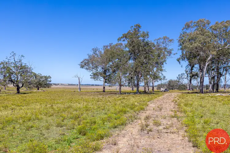 Seventh view of Homely land listing, 908A Clarence Town Road, Seaham NSW 2324