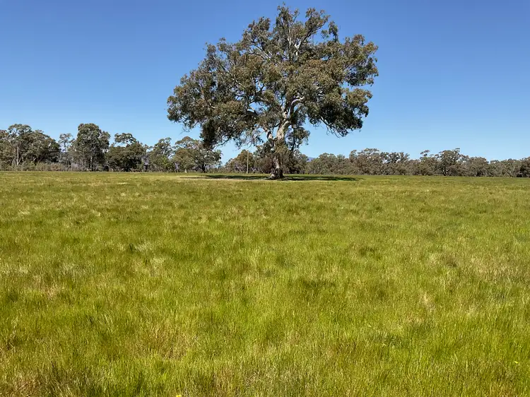 399 Henty Highway, Brimpaen VIC 3401