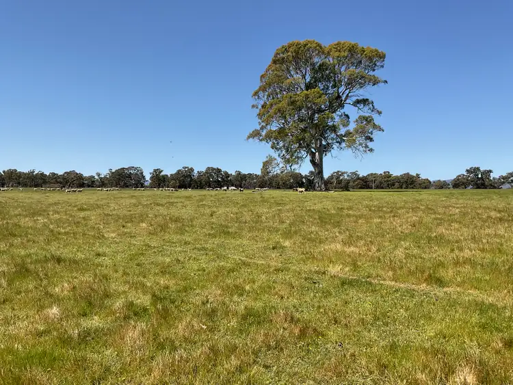 Second view of Homely rural property listing, 399 Henty Highway, Brimpaen VIC 3401