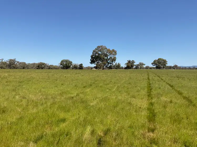 Fourth view of Homely rural property listing, 399 Henty Highway, Brimpaen VIC 3401