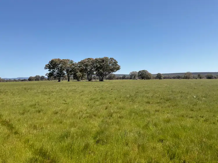 Fifth view of Homely rural property listing, 399 Henty Highway, Brimpaen VIC 3401